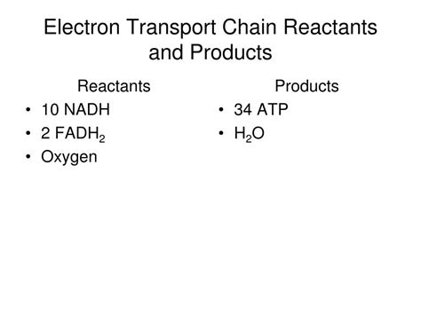 reactants and products of electron transport.